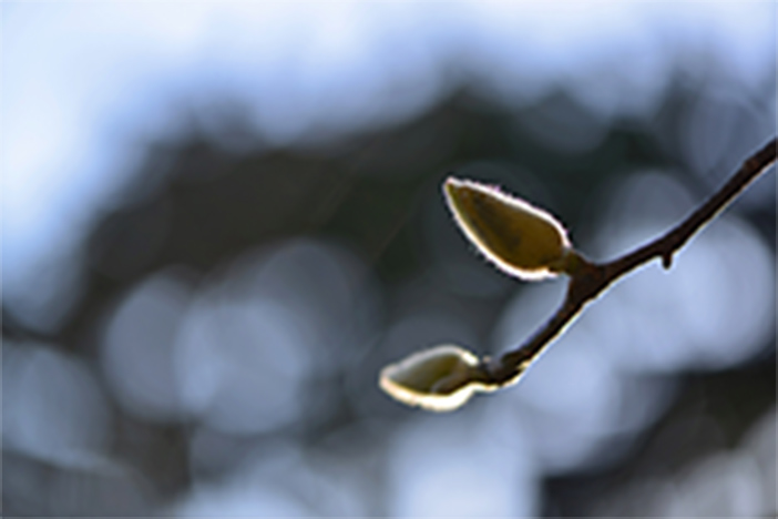 奨学生OG 張慧総さんエッセイ