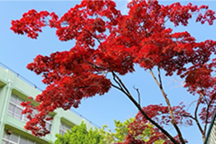 【4月】外国人奨学生エッセイ