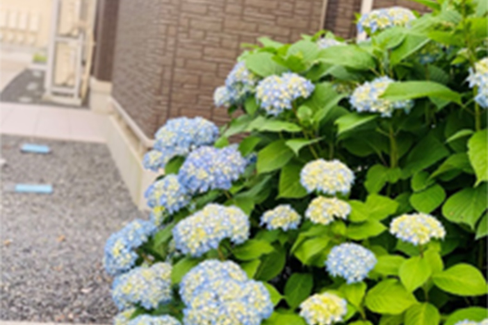 【6月】外国人奨学生エッセイ