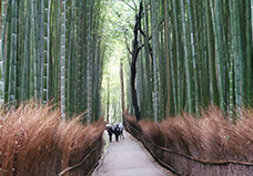 【6月】外国人奨学生エッセイ