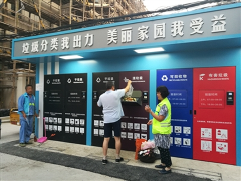 澄んだ湘南の海