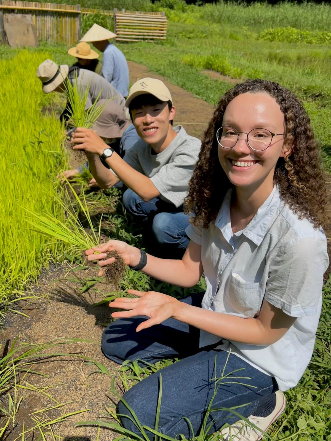 フィールドワークの様子