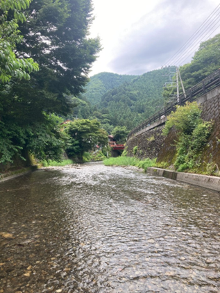 息苦しい街から出て自然に囲まれて一息できた真夏の日。